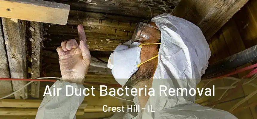  Air Duct Bacteria Removal Crest Hill - IL