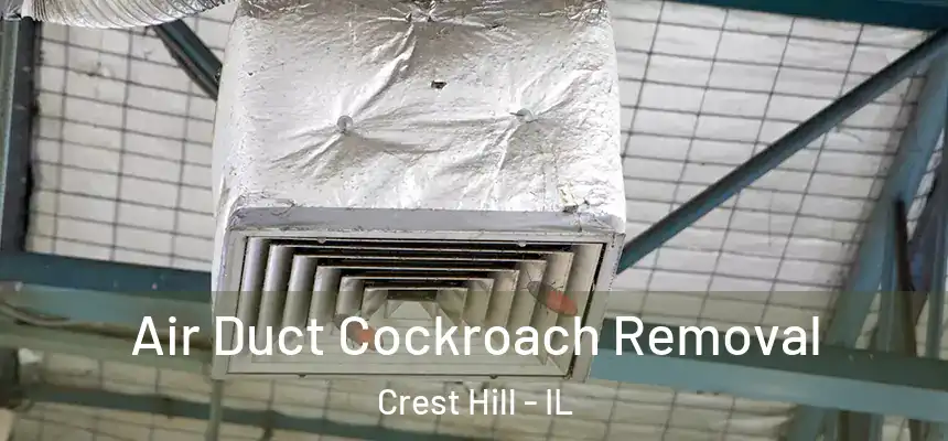 Air Duct Cockroach Removal Crest Hill - IL