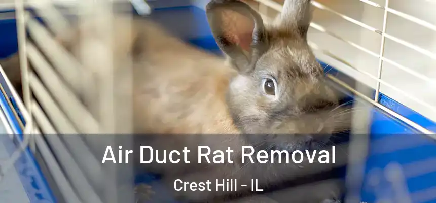  Air Duct Rat Removal Crest Hill - IL
