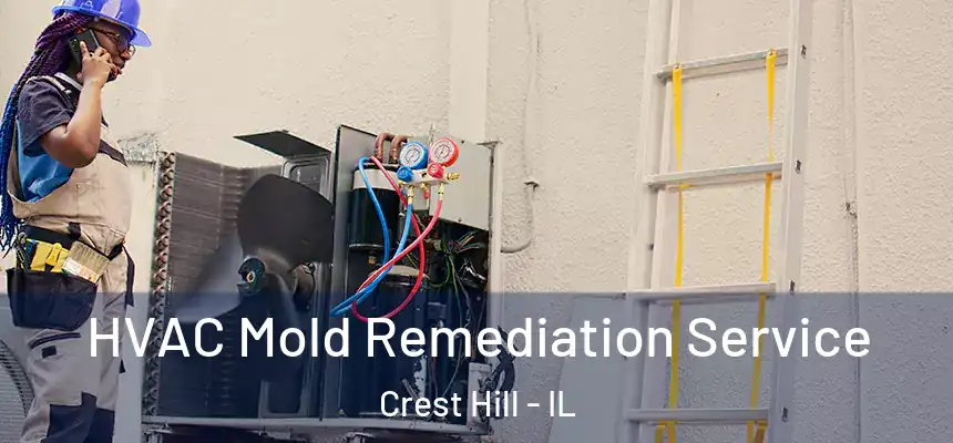  HVAC Mold Remediation Service Crest Hill - IL