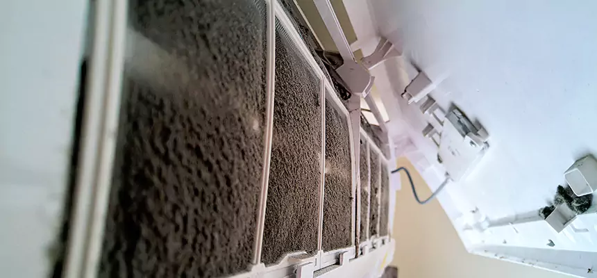 Preventive Air Duct Bacteria Removal in Crest Hill