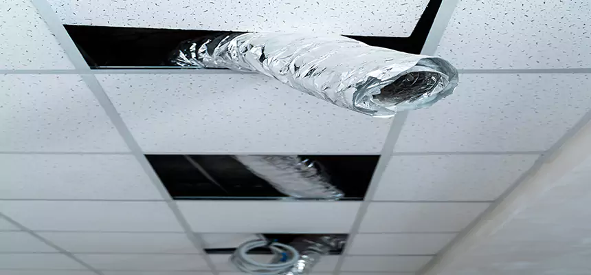 Affordable HVAC Sanitizing After Pest Removal in Crest Hill