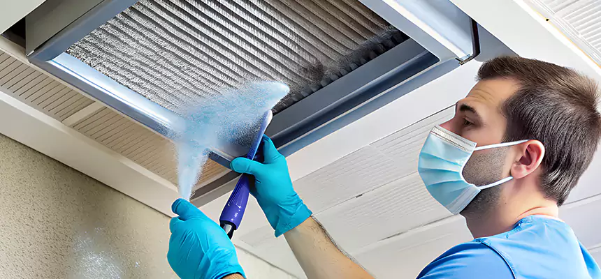 Proactive Dryer Vent & Auxiliary Duct Pollen Cleanup in Crest Hill, IL