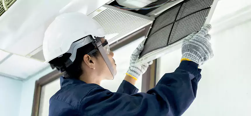 Our Mold & Mildew Removal from Air Ducts Services in Crest Hill, IL