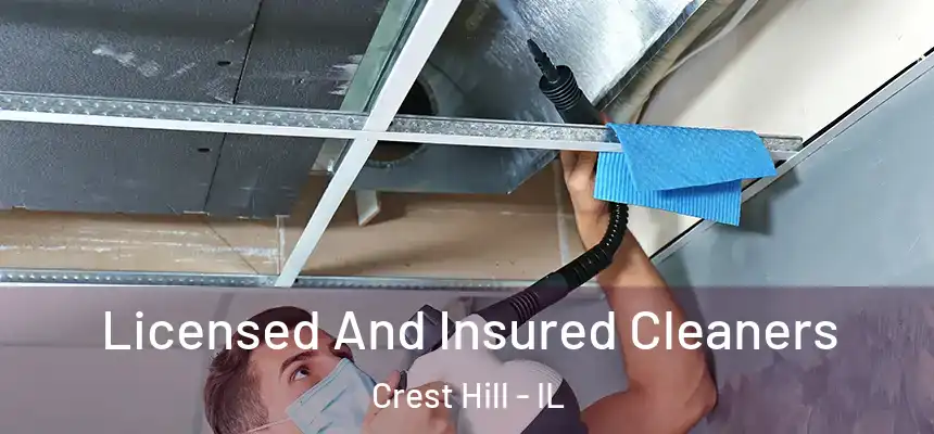  Licensed And Insured Cleaners Crest Hill - IL