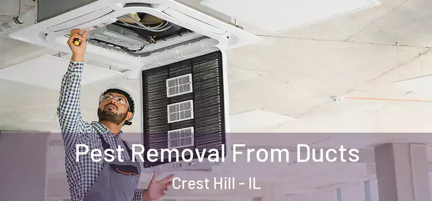 Pest Removal From Ducts Crest Hill - IL