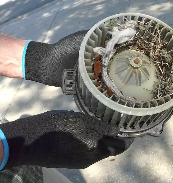 About Air Duct Mice Removal in Crest Hill, IL